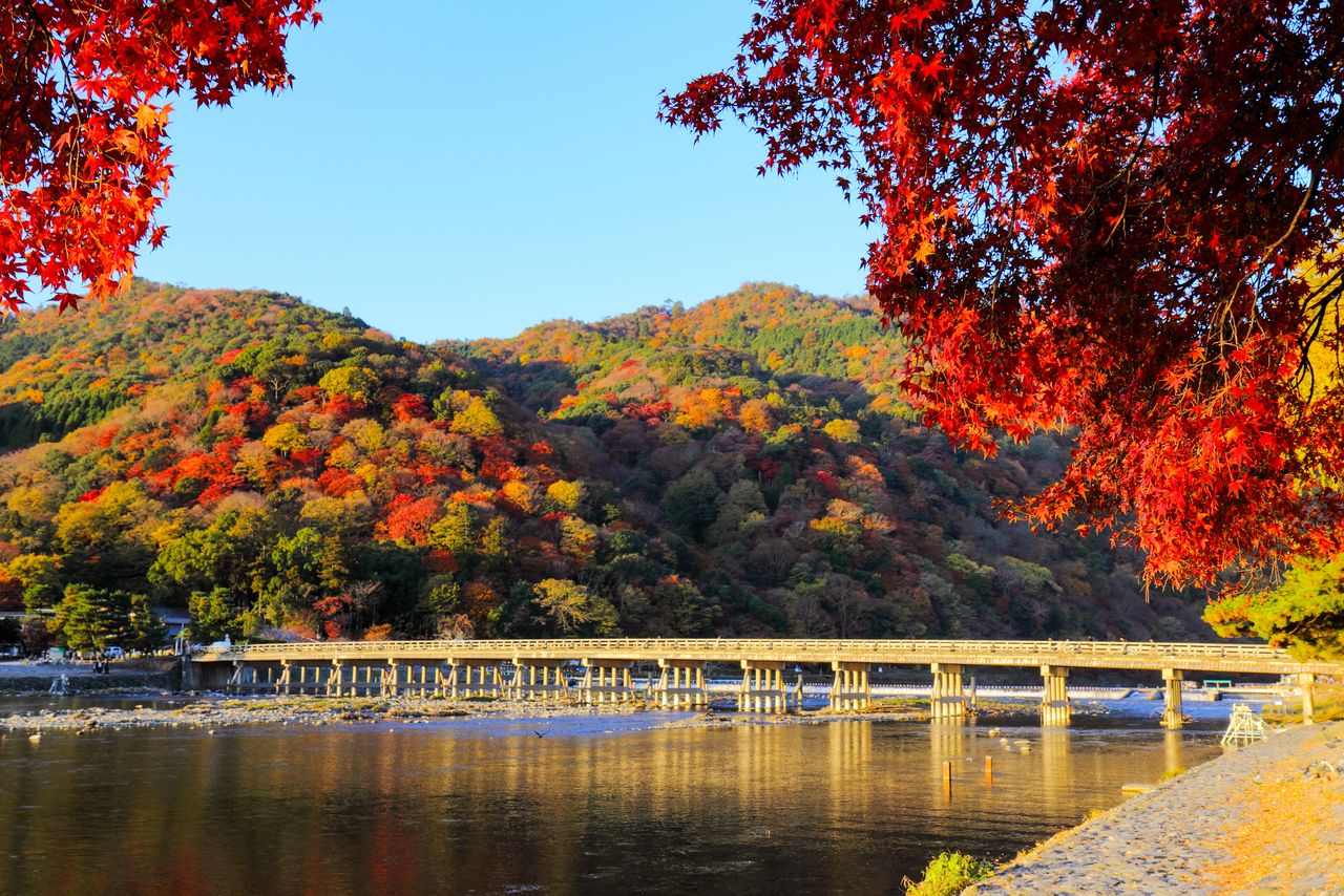 世界遺産・京都「天龍寺」：嵐山の景観を取り入れた “国宝級の庭”に憩う | nippon.com