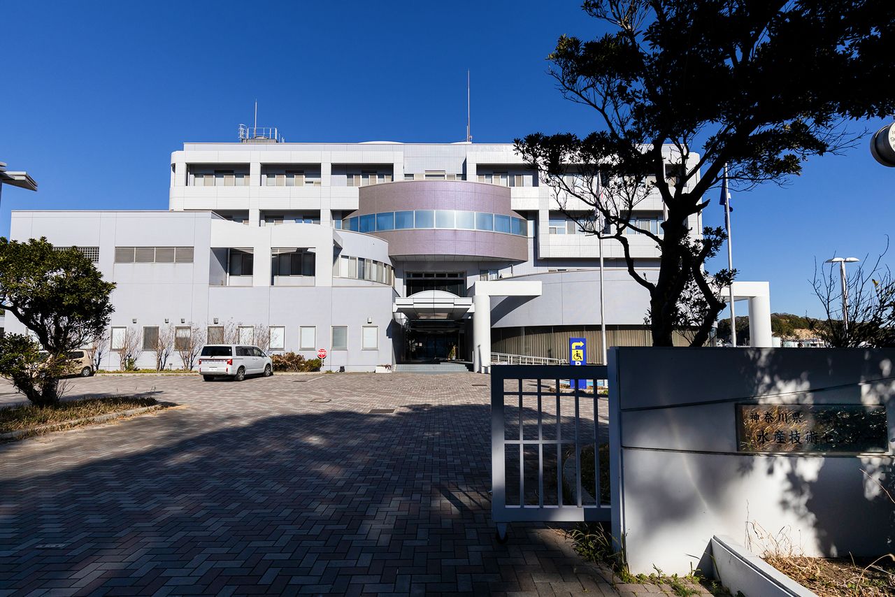 三崎港の対岸・城ケ島にある神奈川県水産技術センター