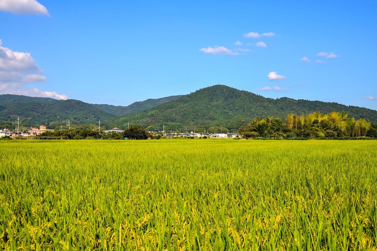 円すい形の山容が美しい三輪山。記紀にもしばしば登場する 大神神社提供
