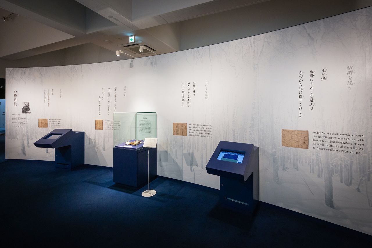 白樺日誌の展示コーナー