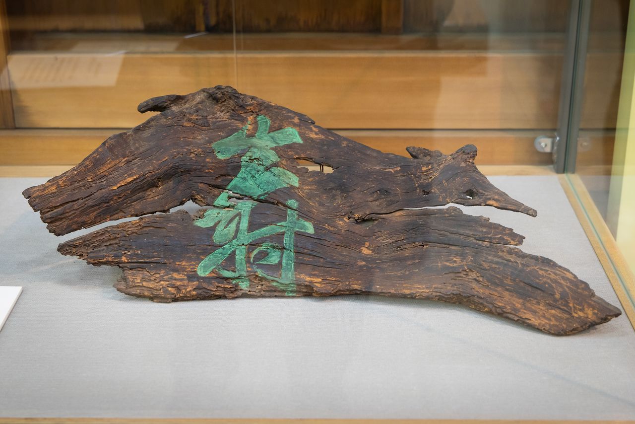 現在の古今伝授の松は6代目で、初代の松材を使用した「寿」の額が資料館に展示されている。筆跡は田辺藩7代藩主の牧野以成(もちしげ)