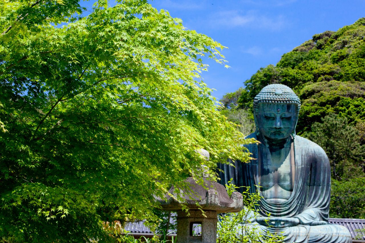 初夏の新緑 写真=原田寛