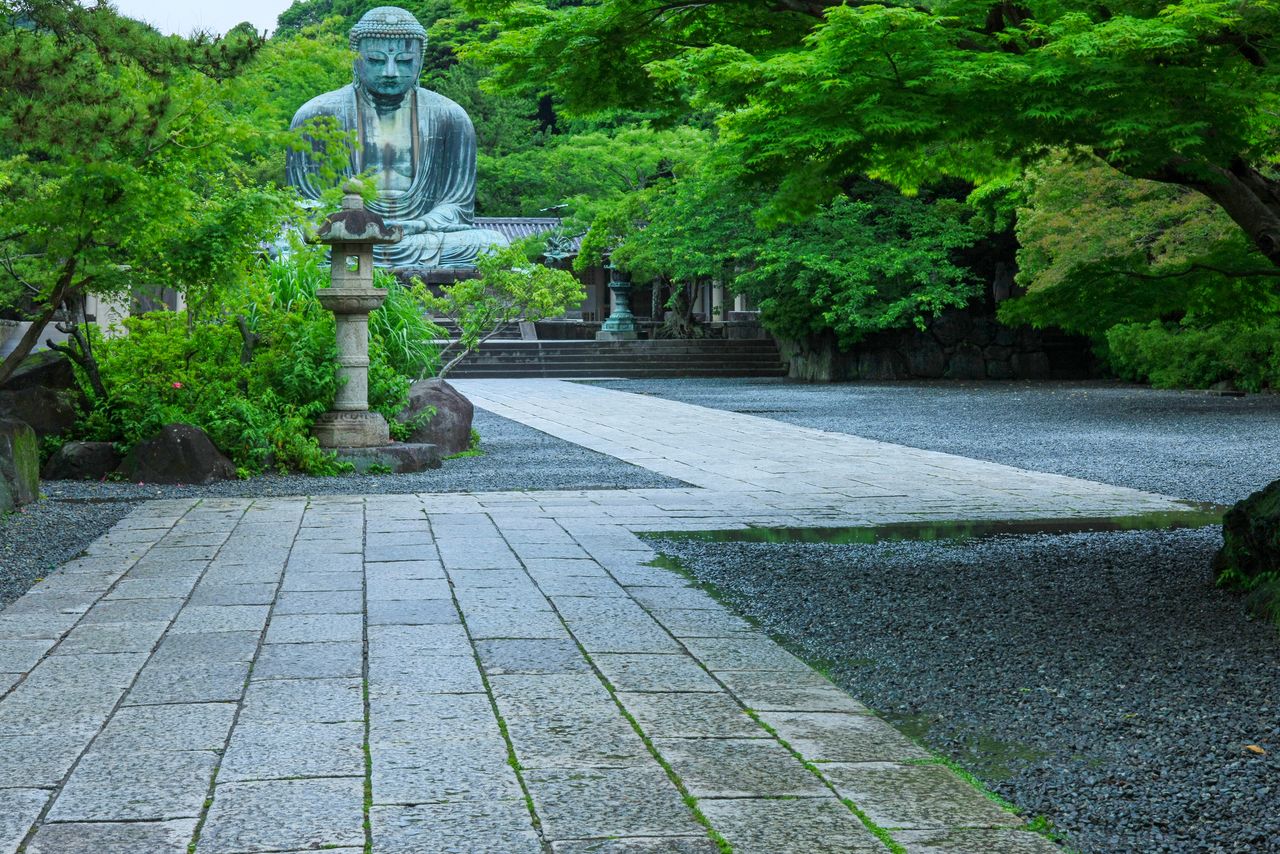 雨にぬれる参道 写真=原田寛