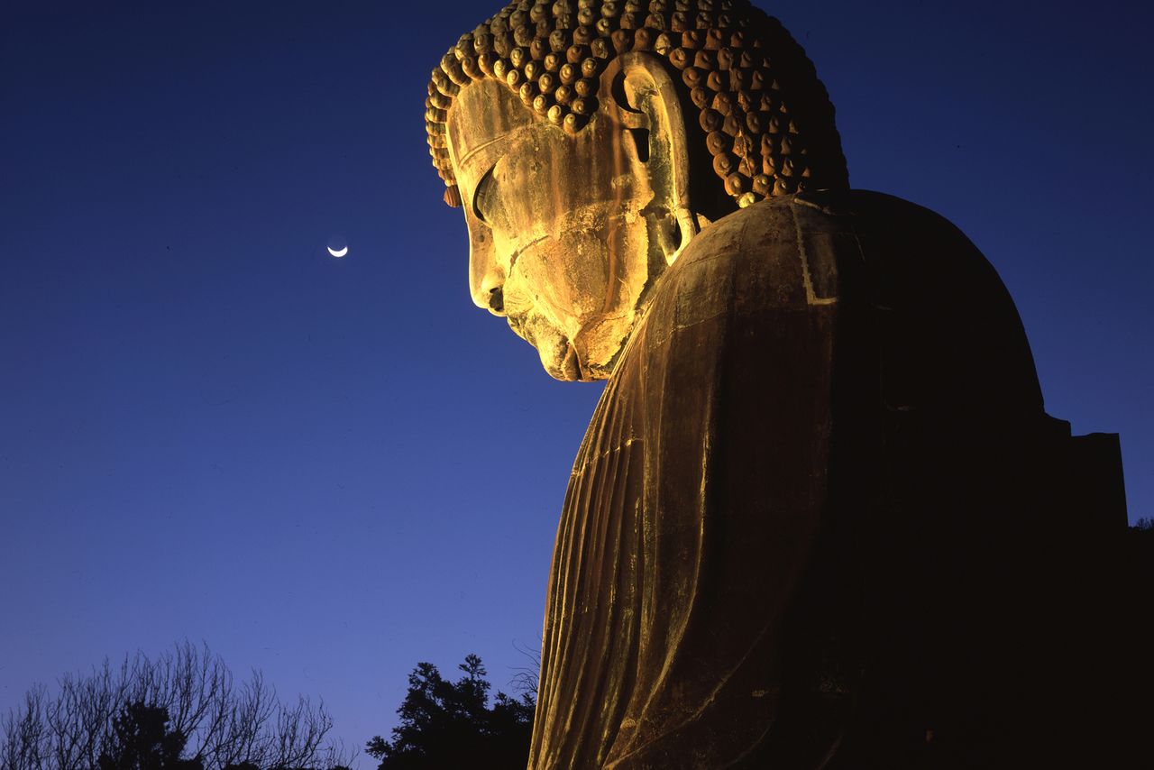 照明を浴びて輝く大仏越しに月を望む 写真=原田寛