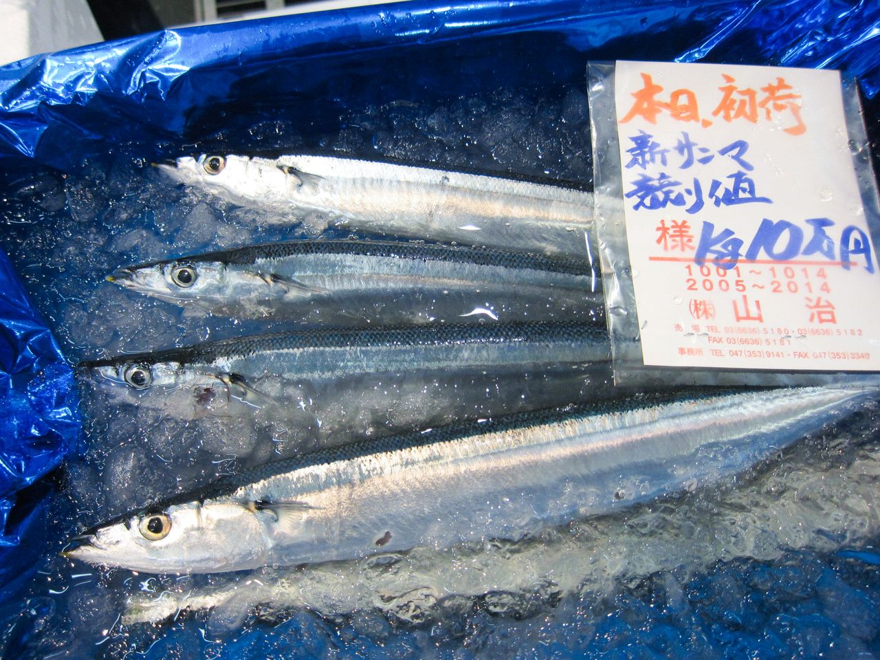 東京の魚市場では過去最高値となる1キロ 10万円を付けた初サンマ（7月16日）時事