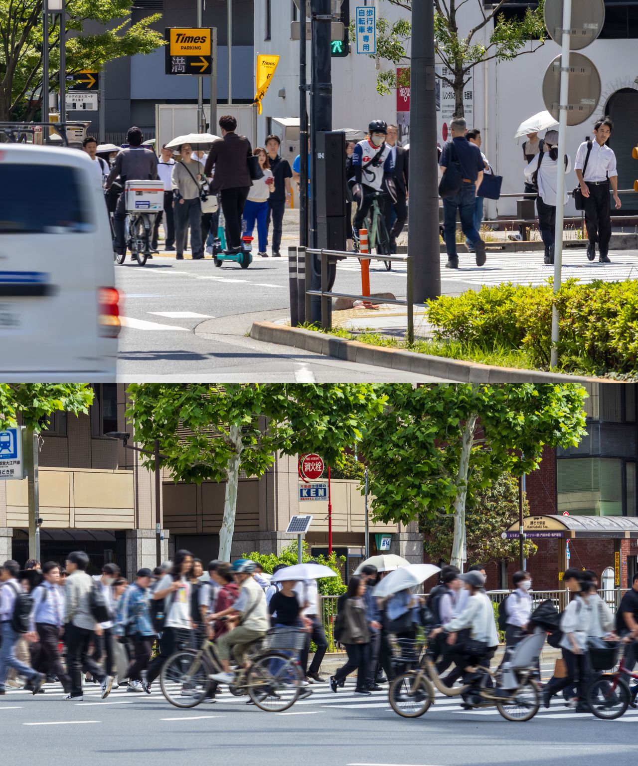 通勤時間帯の東京都内。横断歩道を歩行者と自転車が行き交う