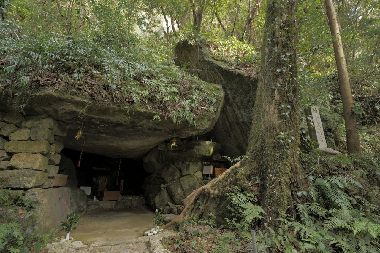 着生植物やシダに覆われた巨岩に守られた洞窟に神武天皇が祀られる 撮影=大坂 寛