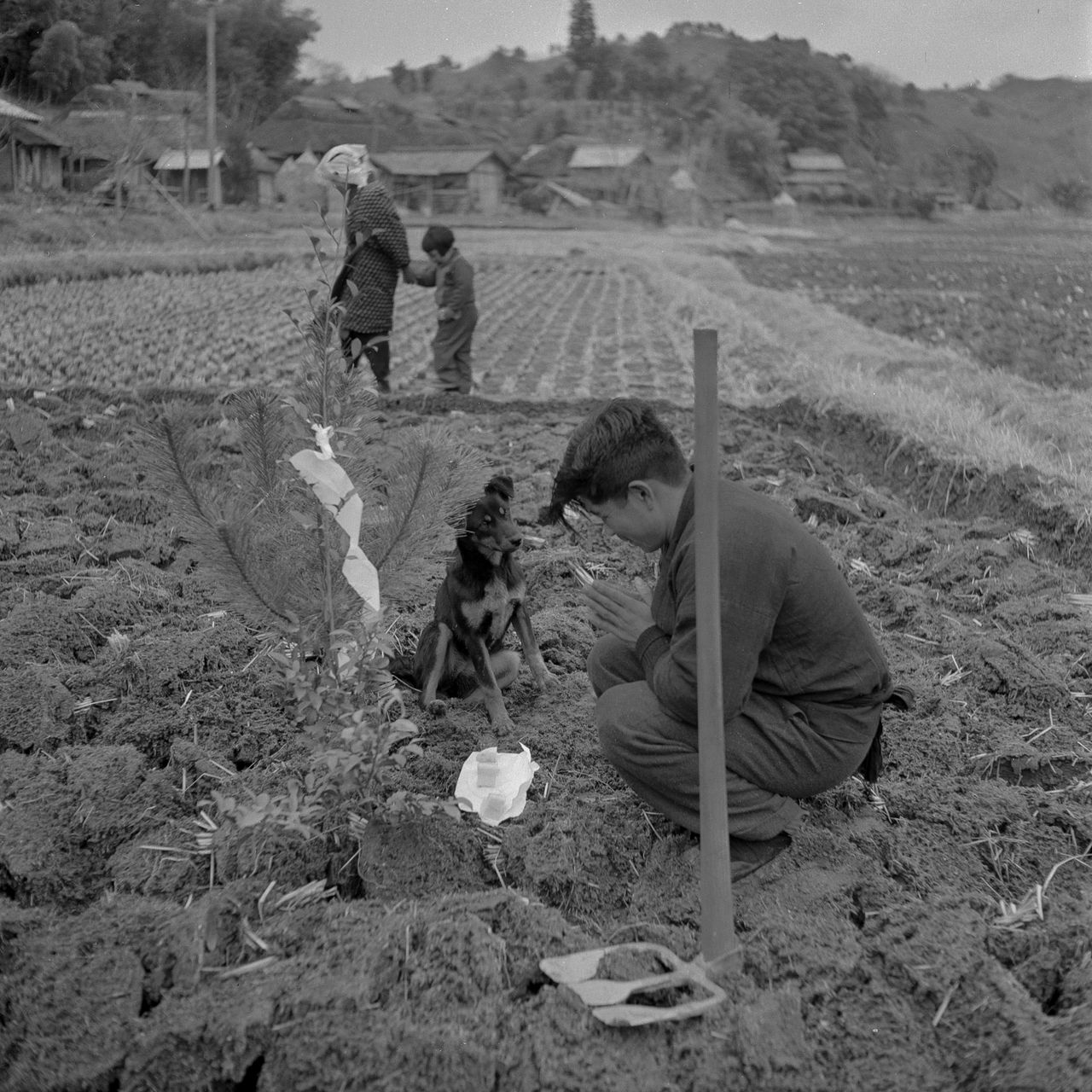 冬枯れの田を鍬(くわ)で起こし、新年の豊作を祈る「農立て」(芳賀日出男撮影)