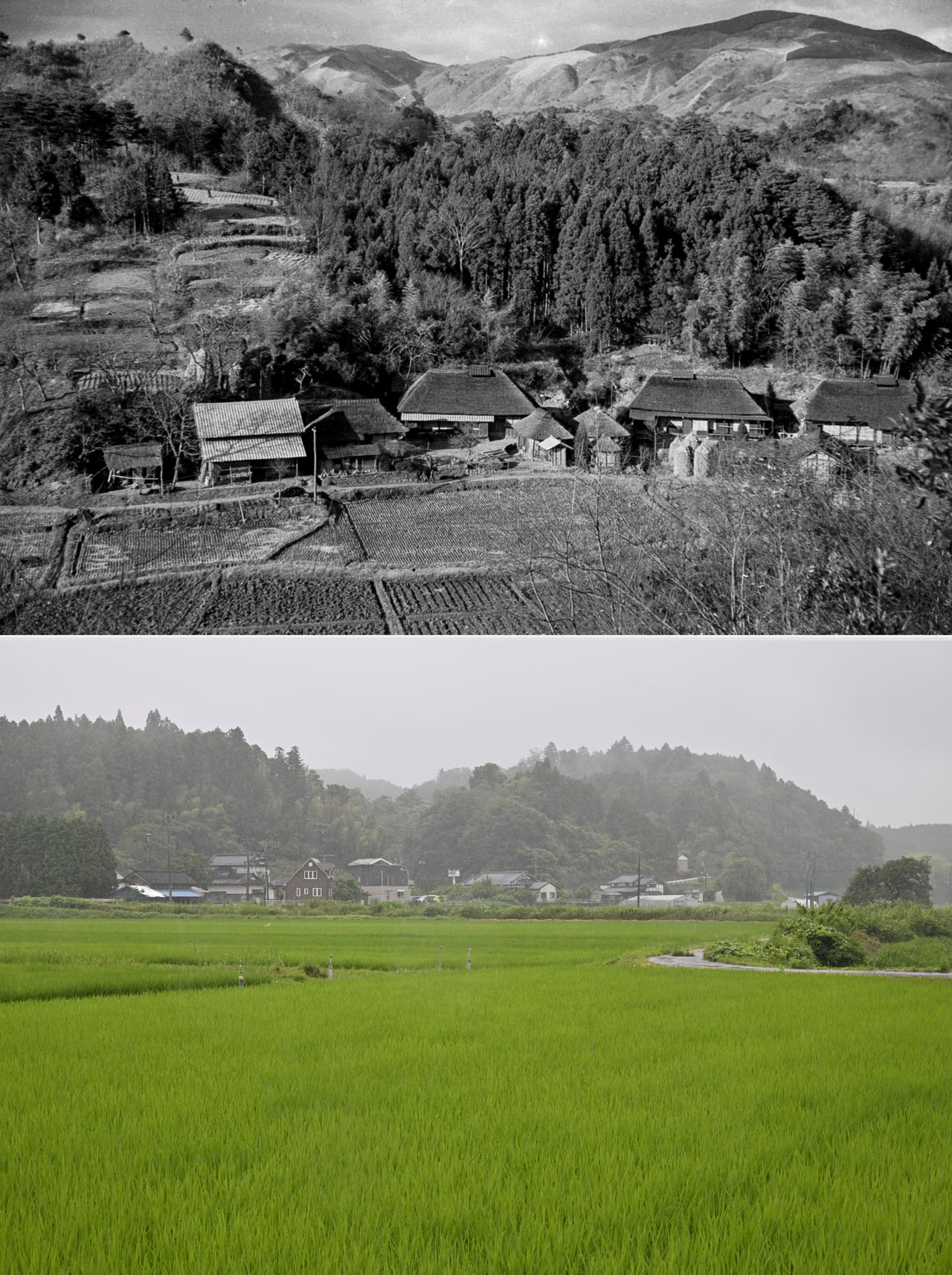 1953年の正月行事の被写体になった上釜戸集落。農地は減りつつも稲作が続いている(上:芳賀日出男、下:鵜澤昭彦撮影)