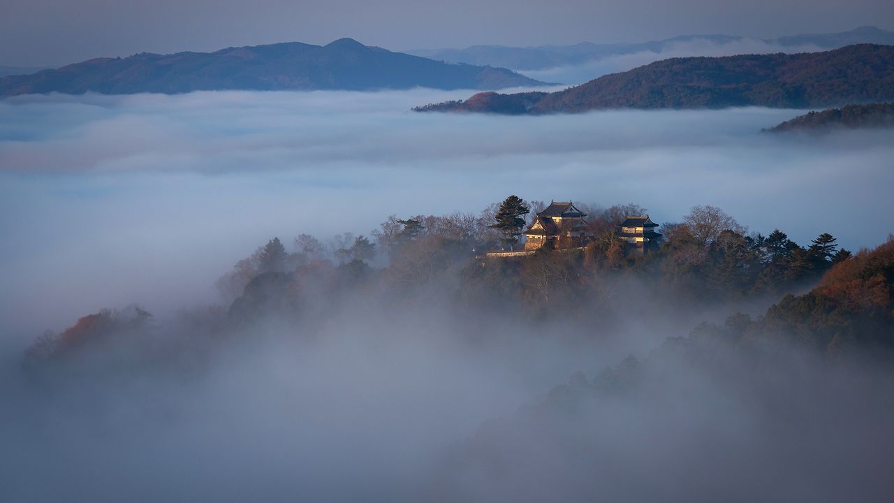 天空の城 岡山 備中松山城 中学教諭が復活させ 迷い猫が人気を高めた山城の現存天守 Nippon Com