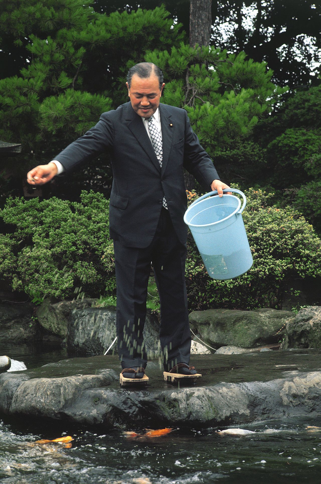 1972年7月に自民党の新総裁に選出された翌朝、自宅の池で錦鯉に餌をやる田中角栄　時事