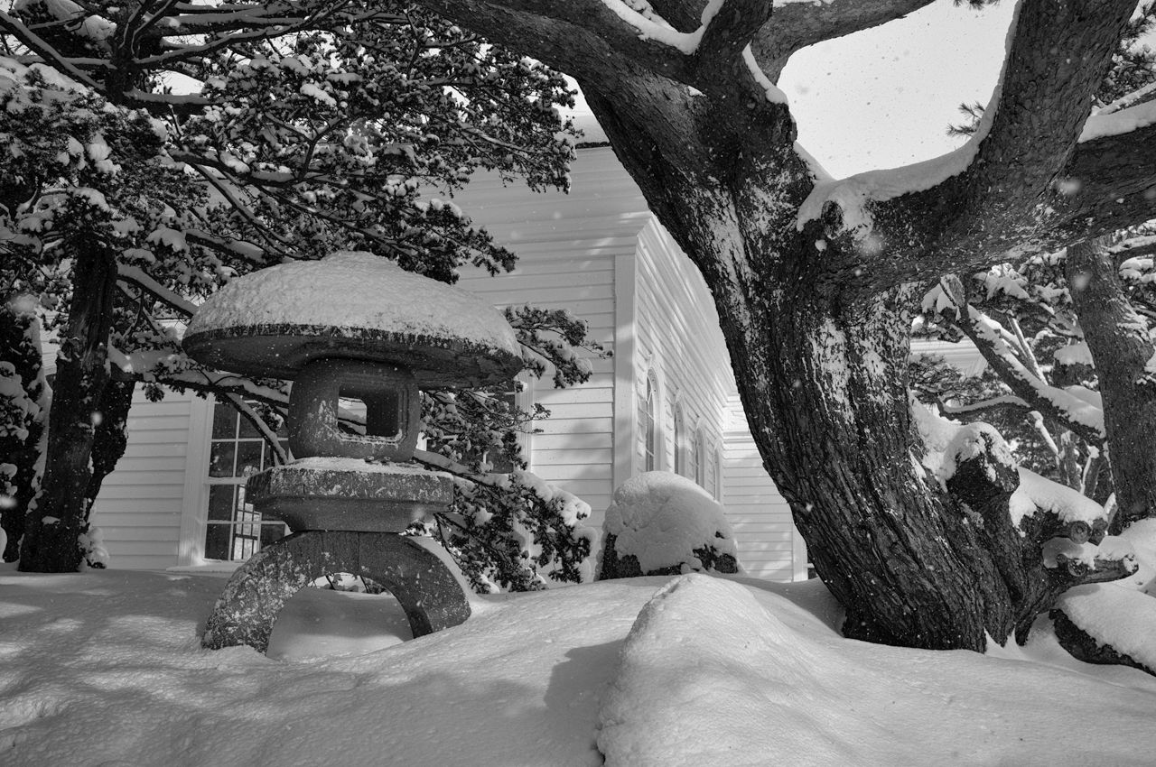 旧函館博物館2号(奥の白い建物)のすぐそばにある灯篭