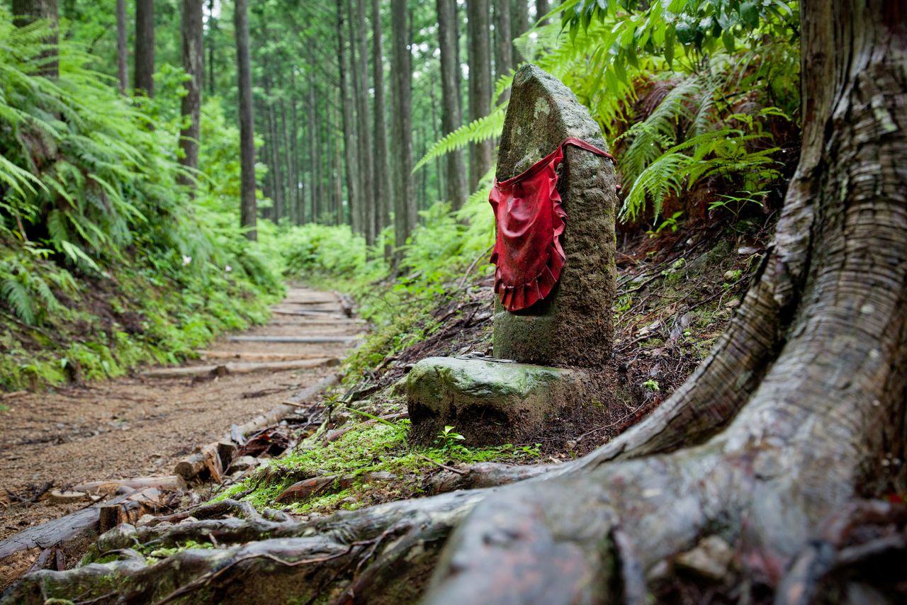 熊野古道の中辺路 写真提供:公益社団法人 和歌山県観光連盟
