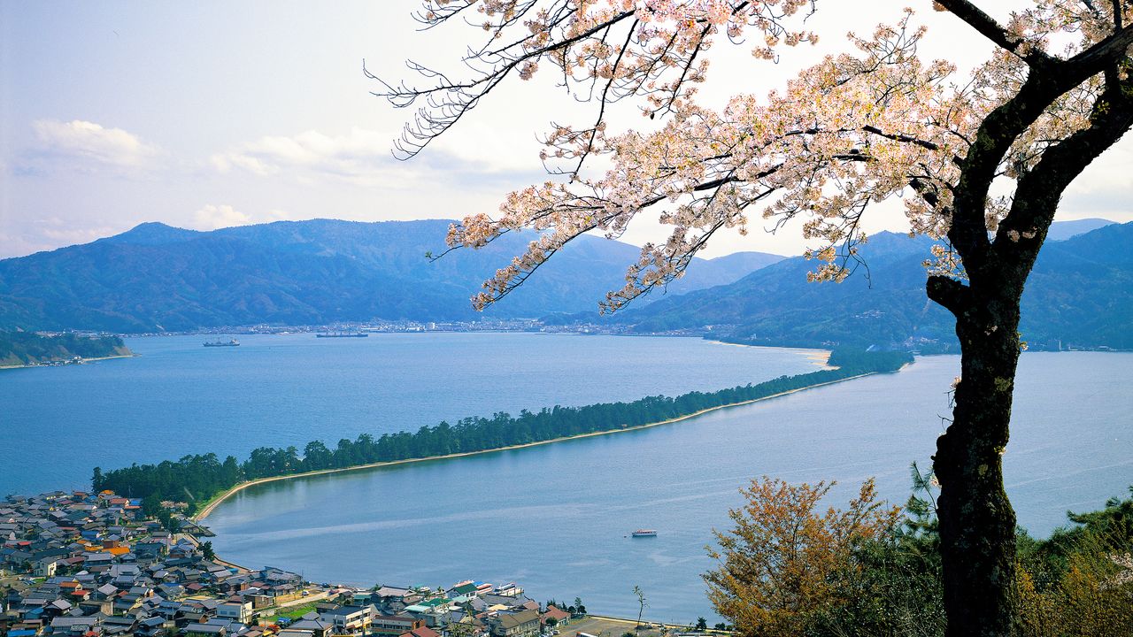 日本三景 天橋立 海の京都で天空を舞う龍を望む Nippon Com