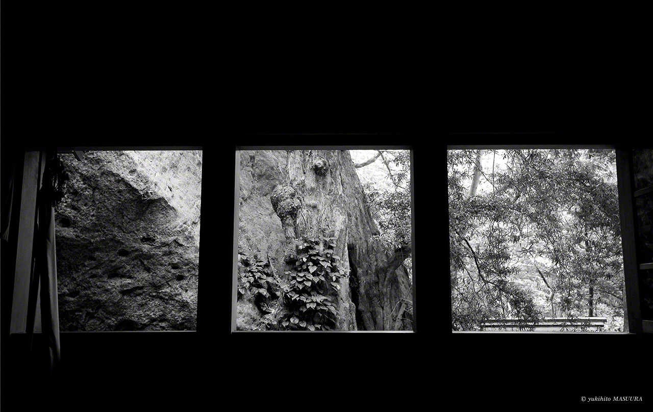 沖津宮の社殿内から見えるのは、巨岩と原生林