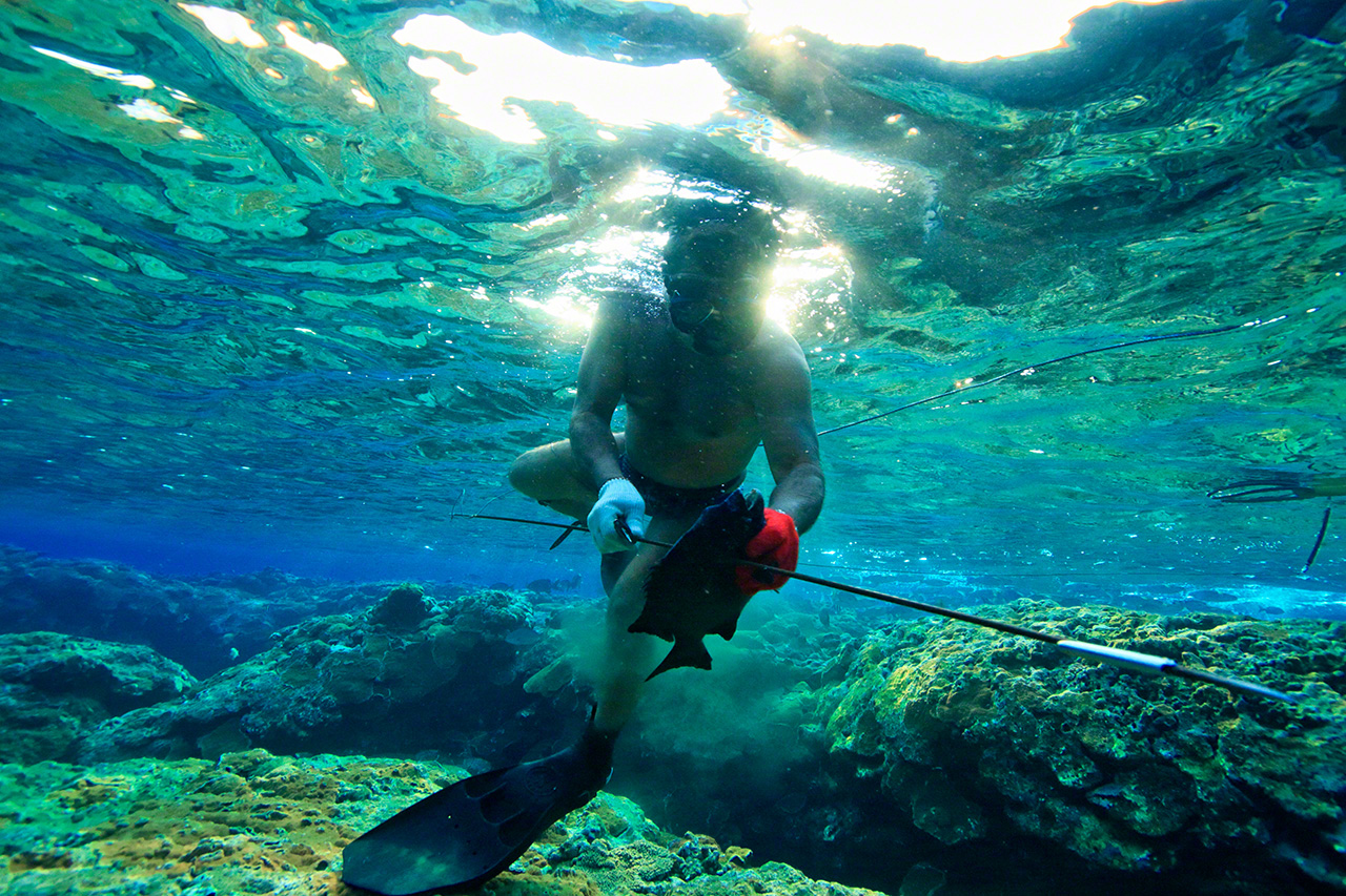 日の出とともに海に飛び込んで魚を突く。水中はまだ薄暗く、太陽の光が海面に反射する