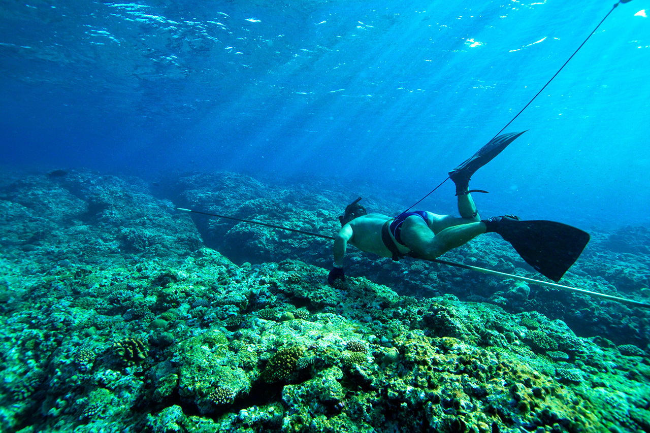 遠い獲物を追うときは、フィンを魚の尾ひれのように激しく動かす
