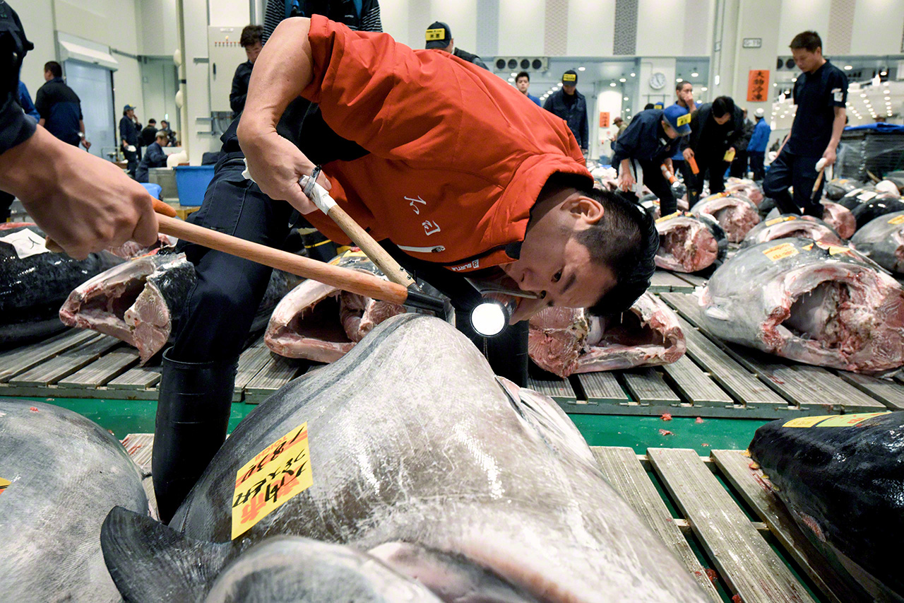 同じ産地でも味、香り、食感は個体によって異なる