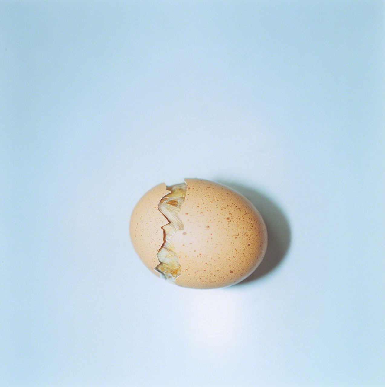Untitled, from the series of “AILA”, 2004