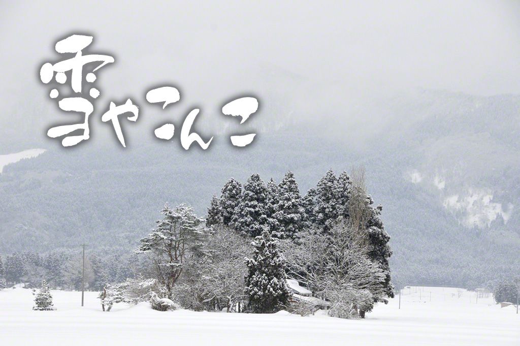 家を風や雪から守る屋敷林。(秋田県仙北市角館=せんぼくしかくのだて=)