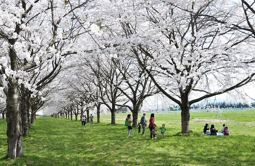 岩手県奥州市水沢区 水沢競馬場
