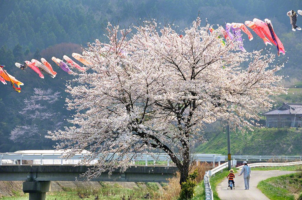 福島県田村郡三春町