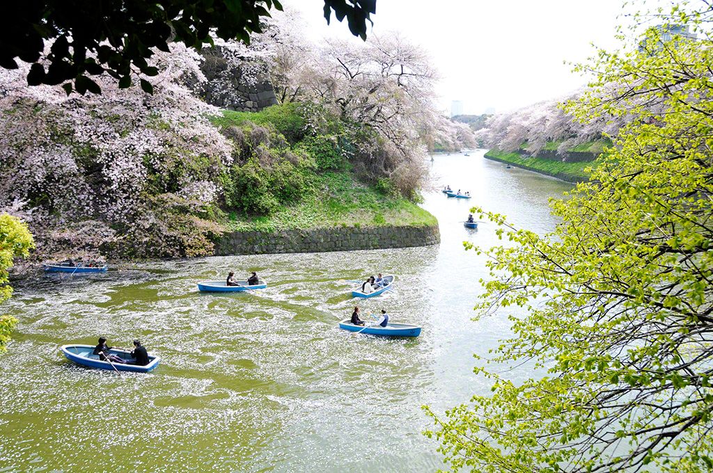東京都千代田区 千鳥ヶ淵