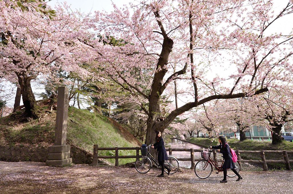 青森県弘前市 弘前公園