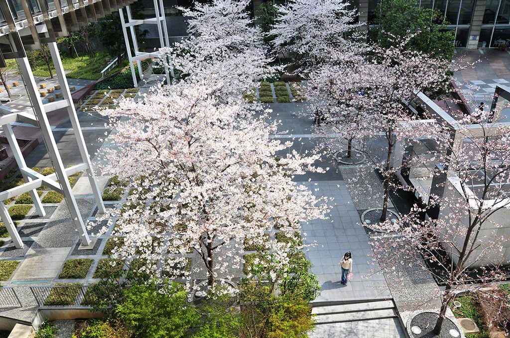 東京都港区港南