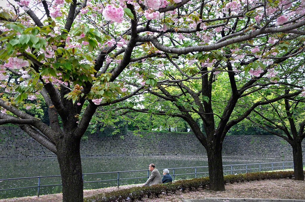 東京都千代田区 皇居周辺