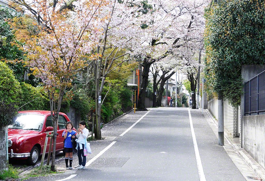 東京都世田谷区成城