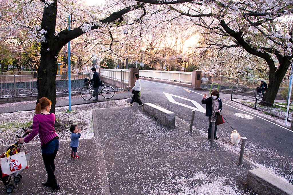 東京都杉並区 善福寺川公園