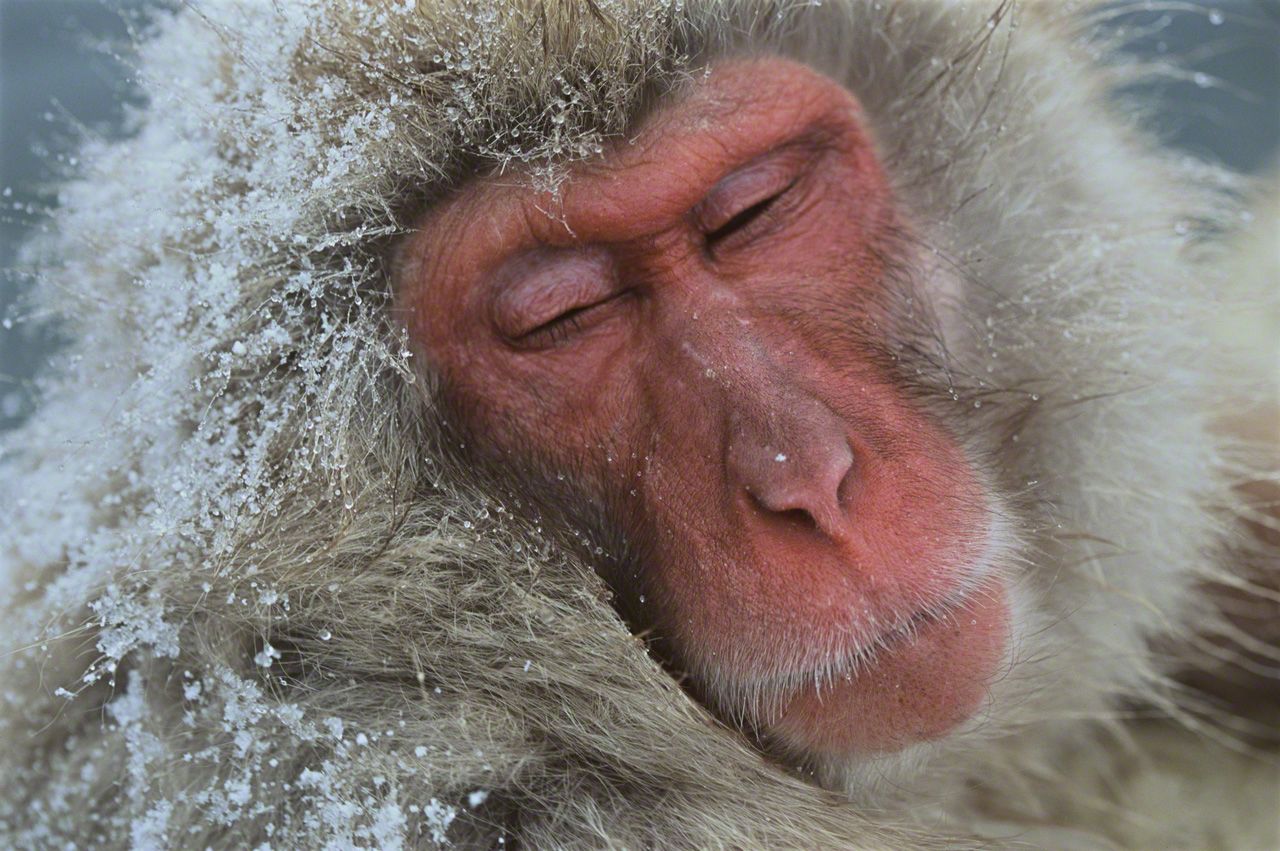 厳しい寒さの中、温泉からなかなか出てこられない。2月