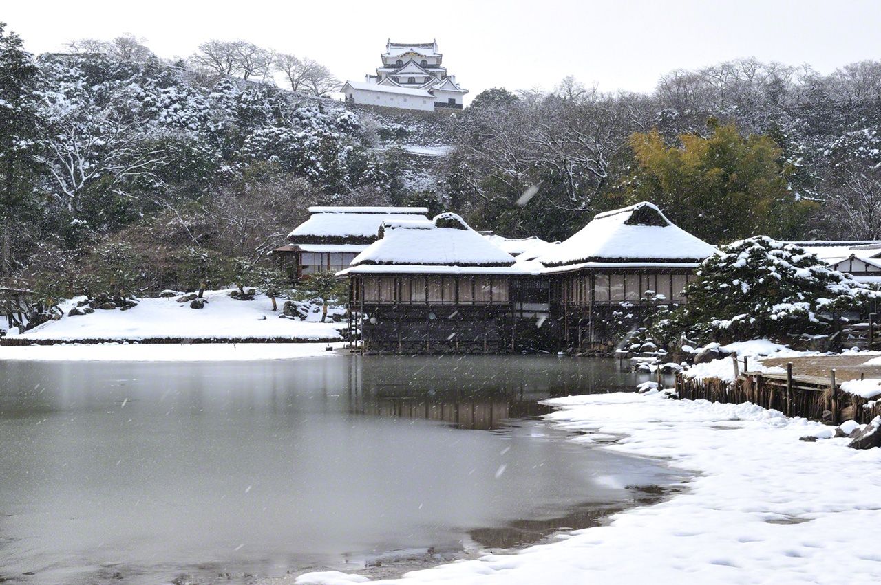 雪の降り積もる大名庭園「玄宮園」から彦根城の天守閣を臨む。