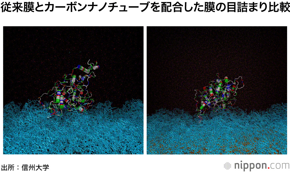 左の従来膜（青い部分）にはタンパク質がからみつくようにこびりついているが、右の信州大学膜は弱く付着しているので水流で汚れが剥がれやすい（画像提供：信州大学）