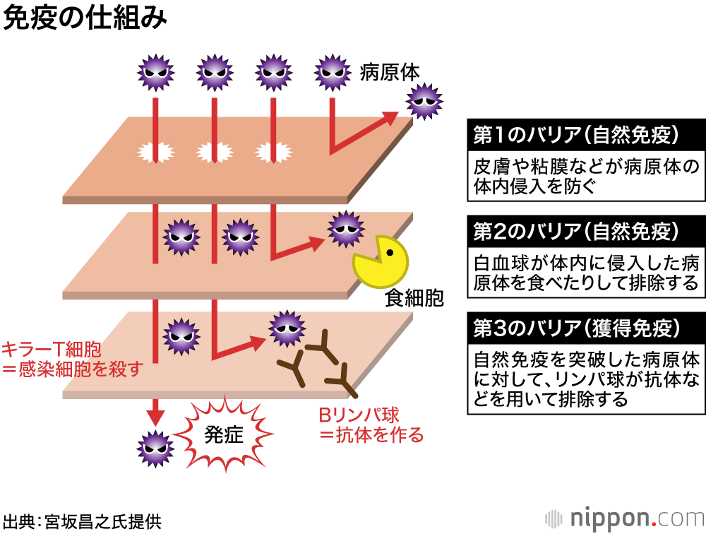 終わる いつ コロナ ウイルス