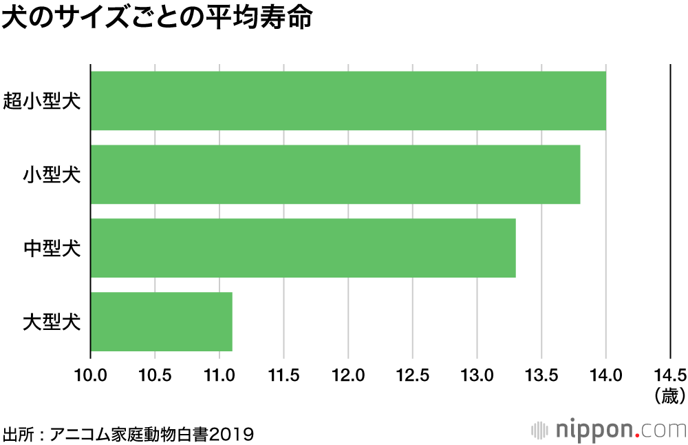 人気犬種 トイプーが11連覇 ずっと一緒にいたいから 長寿の小型犬が上位席巻 Nippon Com