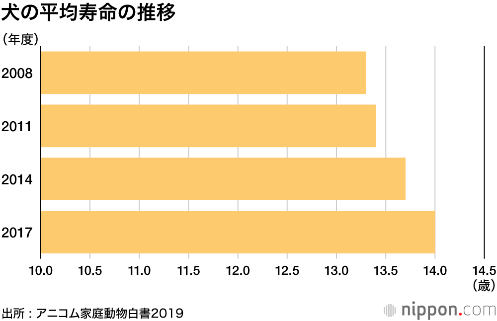 人気犬種 トイプーが11連覇 ずっと一緒にいたいから 長寿の小型犬が上位席巻 Nippon Com