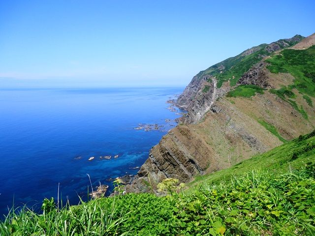 礼文島の海食崖地形