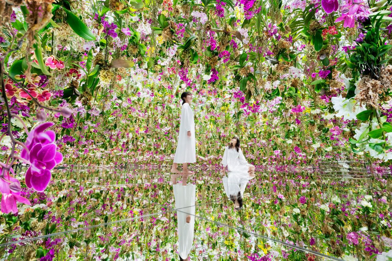 チームラボ《Floating Flower Garden: 花と我と同根、庭と我と一体》©チームラボ