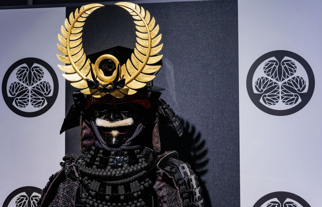 家康の甲冑には裏白(PIXTA)