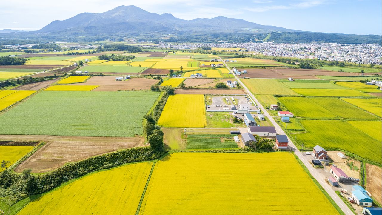 日本の農地：国土の11％にあたる427万ヘクタール　この50年で3割減