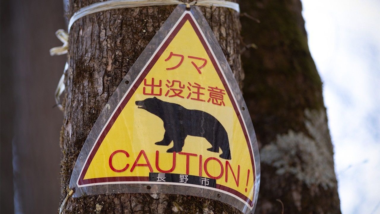クマ被害多発で秋の登山計画に影響―日本気象調査 : 目的地変更や中止・延期のケースも