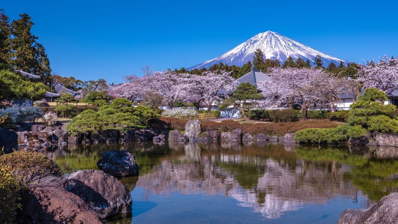 〈桜前線2026 〉東京・名古屋は3月19日開花予想―日本気象 : 気温高く平年より早め