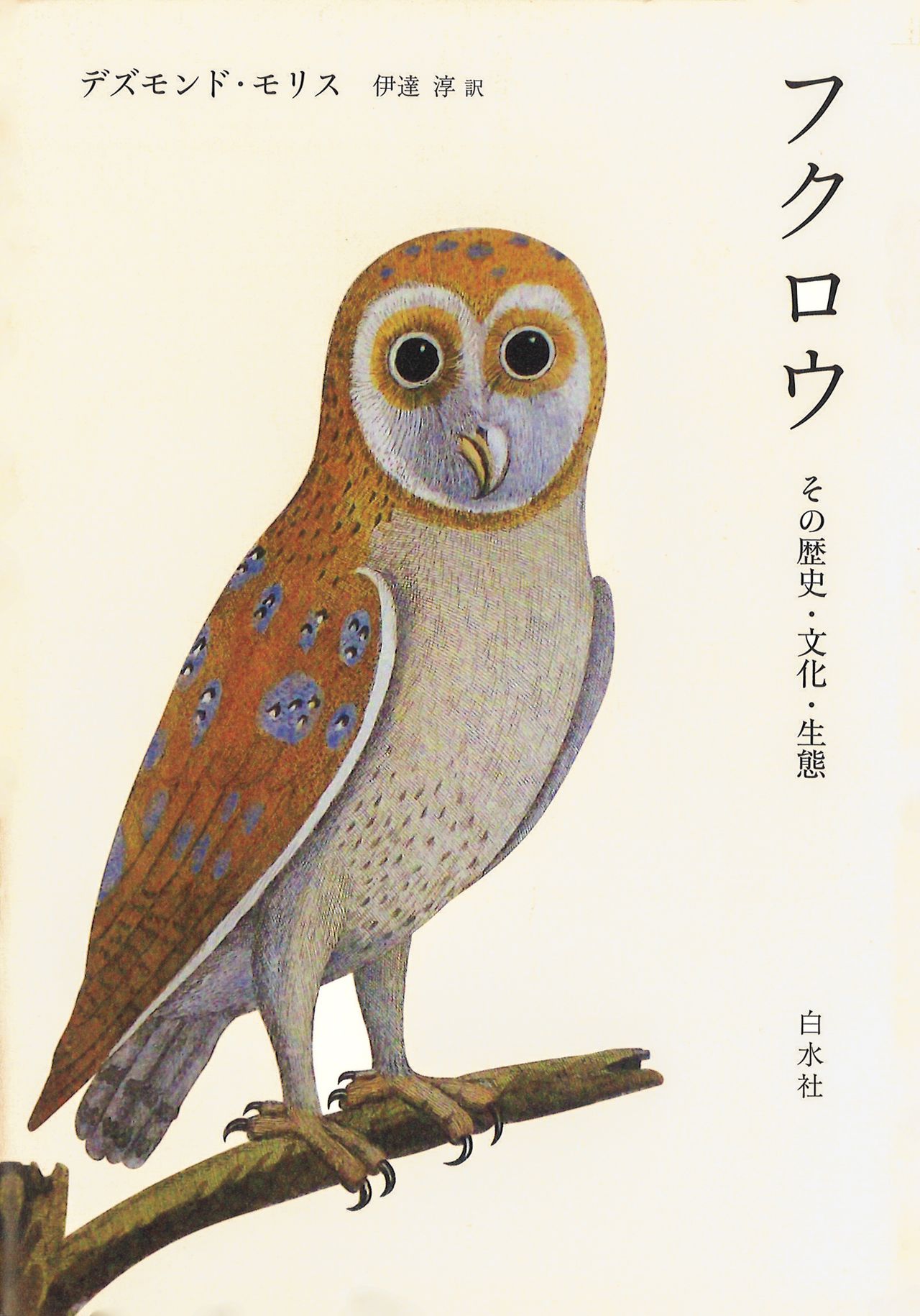 書評 人類を魅惑する鳥 デズモンド モリス著 フクロウ その歴史 文化 生態 Nippon Com
