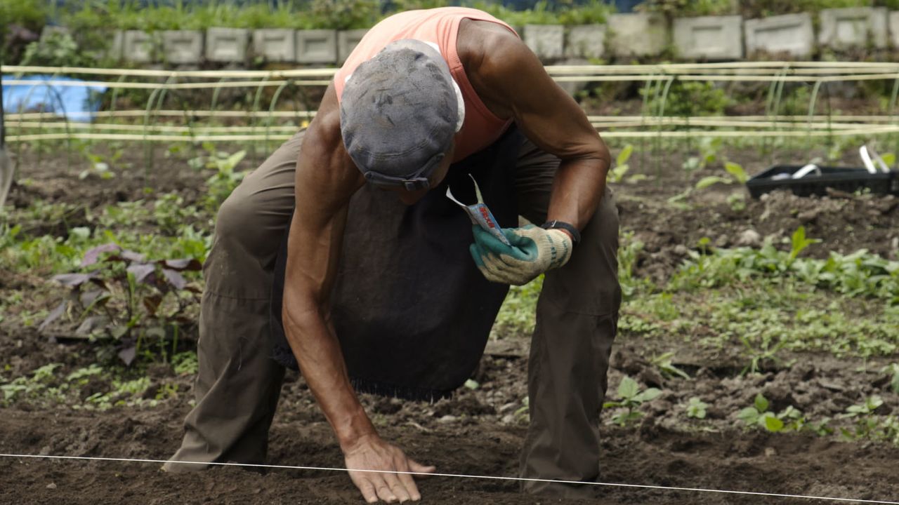 40歳の時に「野良仕事で踊るための身体を作る」と決心し、富士山麓に農地を開墾 ©2021「名付けようのない踊り」製作委員会