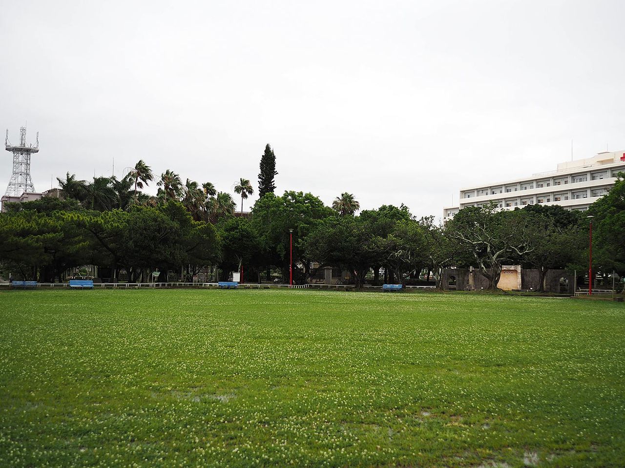 かつて「5・15抗議県民総決起大会」が行われた広場。正面に見える木々の奥には解体予定の那覇市民会館がある