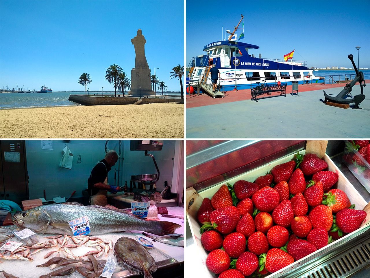 白砂が美しいビーチ、プンタ・ウンブリアを往来する船、イチゴはパロス産が有名、市場の魚売場(左上から時計回り。いずれもウエルバ)