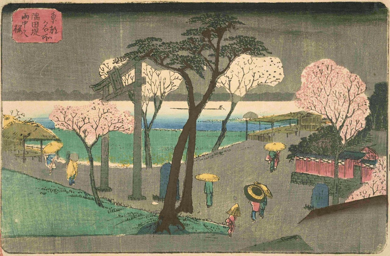 『東都名所 隅田堤雨中之桜』は天保期、歌川広重(1世)画。江戸庶民は上野の花見は窮屈で、飛鳥山は遠いと考えていたらしく、隅田堤(墨田区向島)は人気が高かったという。東京都立中央図書館特別文庫室