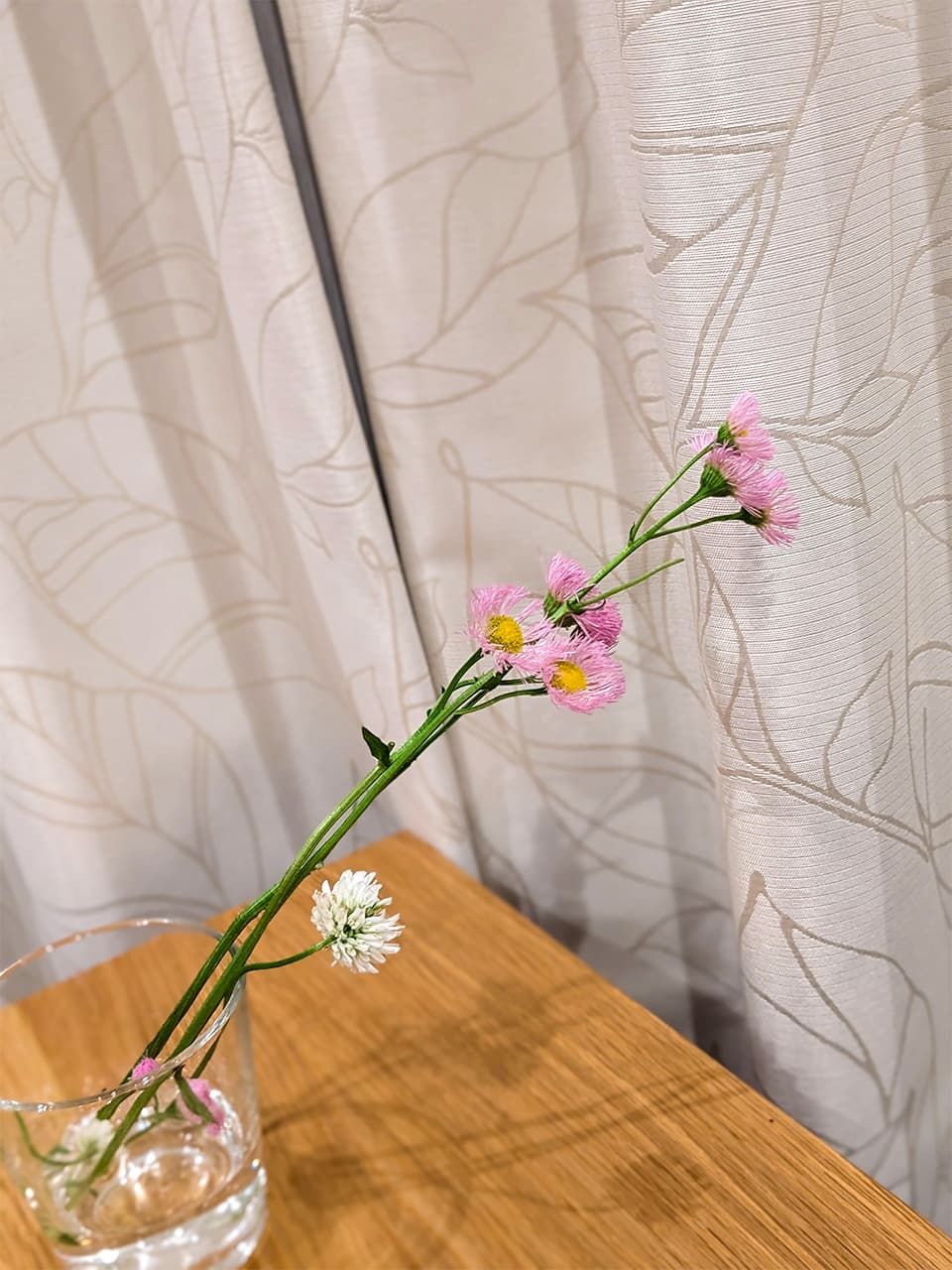 散歩に行くと、子どもたちがお花を摘んできてくれるように